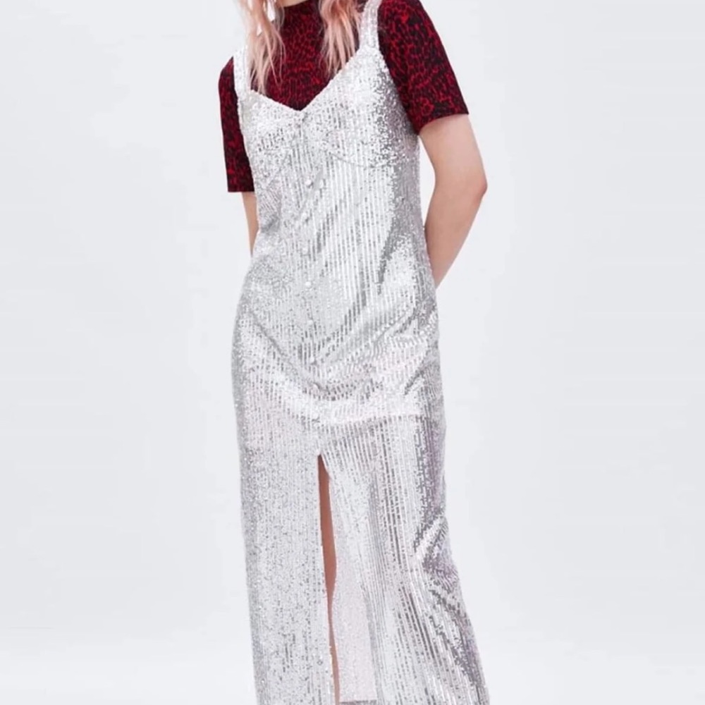 Zara Sequin Dress